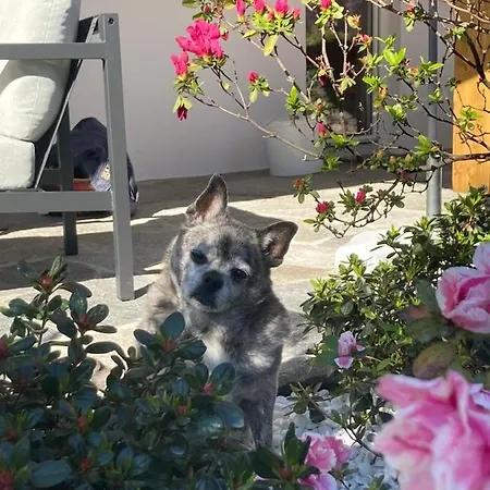 Casa Cristina 度假居