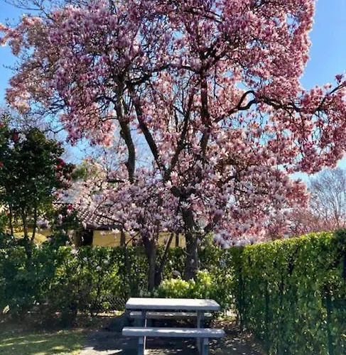 Casa Cristina Сasa de vacaciones *