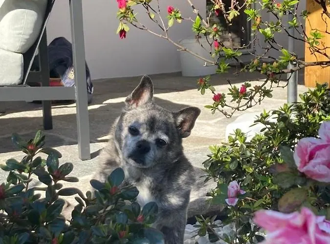 Casa Cristina 度假居